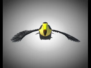toucan bird pbr rigged low poly 3D Model