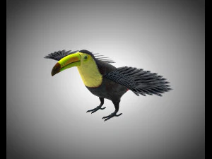 toucan bird pbr rigged low poly 3D Model