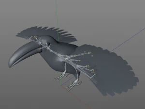 toucan bird pbr rigged low poly 3D Model