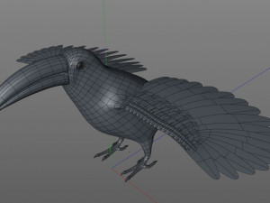 toucan bird pbr rigged low poly 3D 모델