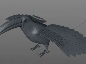 toucan bird pbr rigged low poly 3D Model