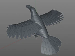 toucan bird pbr rigged low poly 3D Model