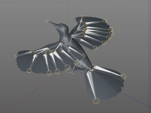 woodpecker bird pbr rigged low poly 3Dモデル