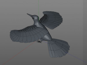 woodpecker bird pbr rigged low poly 3Dモデル
