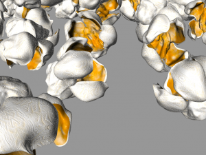 pop corn Modello 3D