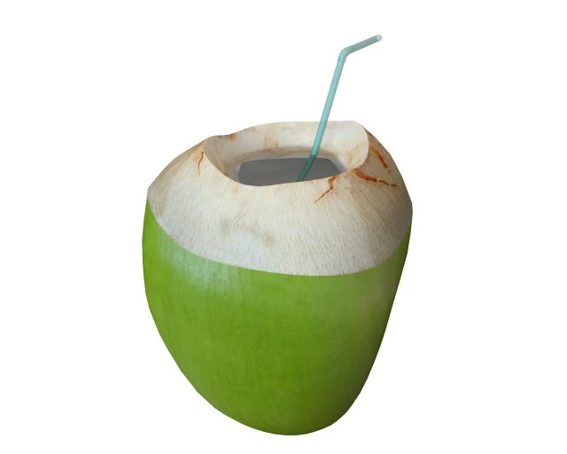 coconut water sliced 3D Model .c4d .max .obj .3ds .fbx .stl .blend 