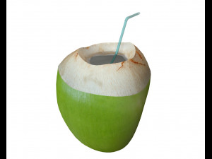 coconut water sliced 3D Model