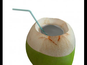 coconut water sliced 3D Model