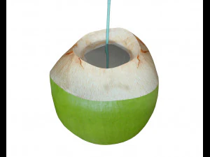 coconut water sliced 3D Model