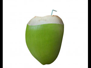coconut water sliced 3D Model