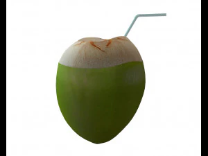 coconut water sliced 3D Model