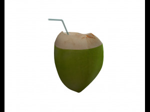 coconut water sliced 3D 모델