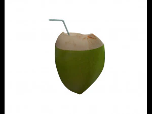 coconut water sliced 3D Model