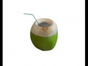 coconut water sliced 3D Model