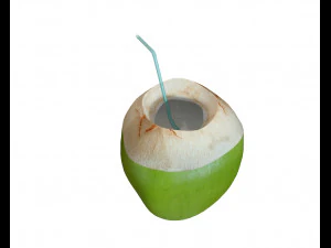coconut water sliced 3D Model