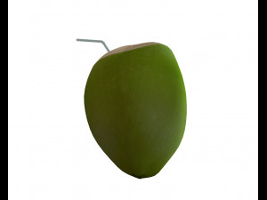 coconut water sliced 3D 모델