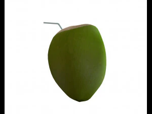 coconut water sliced 3D Model