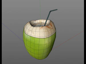 coconut water sliced 3D Model