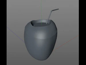coconut water sliced 3D Model