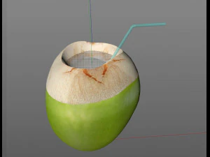 coconut water sliced 3D Model