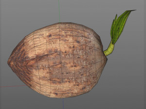 coconut sprout 3Dモデル
