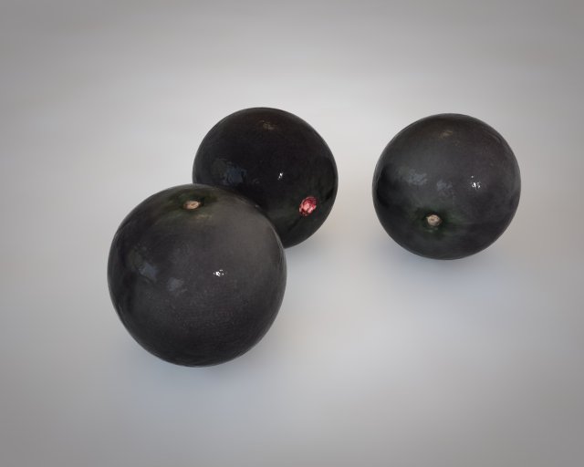 acai fruit berry 3D 模型 .c4d .max .obj .3ds .fbx .stl .blend