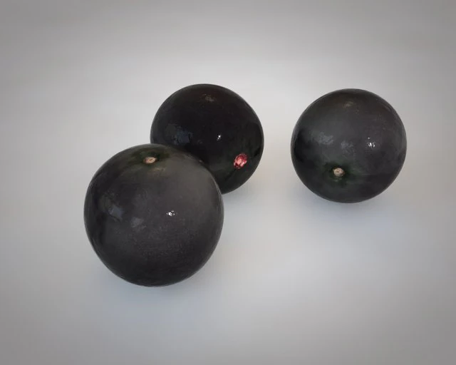 acai meyvesi 3D Model .c4d .max .obj .3ds .fbx .stl .blend 