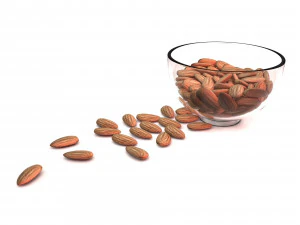almonds 3D Model