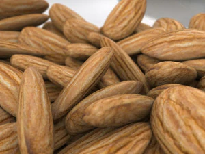 almonds 3D Model