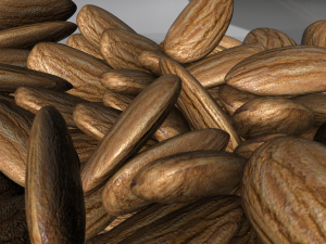 almonds Modello 3D