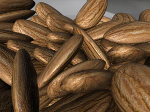 almonds 3D Model
