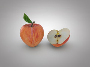 apple Modello 3D