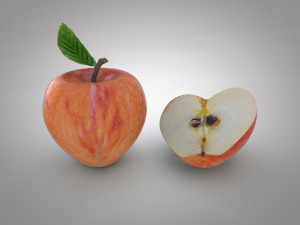 apple 3D Model