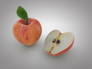 apple 3D Model