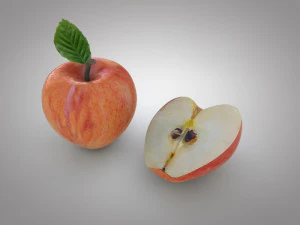 apple 3D Model