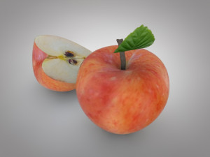 apple 3D Model