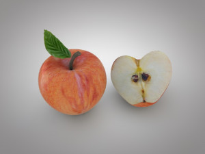 apple 3D Model