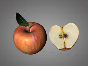 apple 3D Model