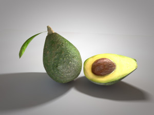 avocado 3D मॉडल