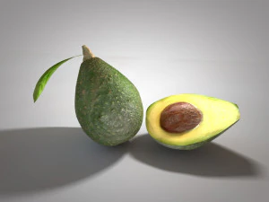 avocado 3D Model