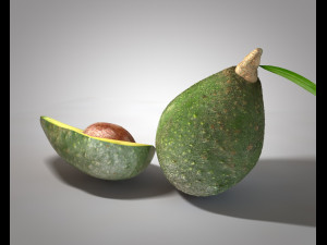 avocado 3D मॉडल
