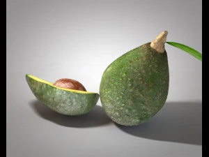 avocado 3D Model