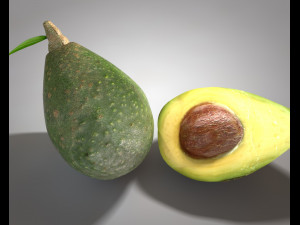 avocado 3D मॉडल