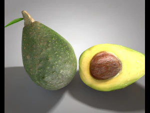 avocado 3D Model