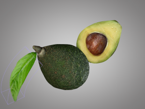 avocado 3D मॉडल