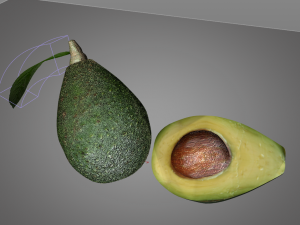 avocado 3D मॉडल