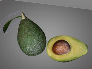 avocado 3D Model