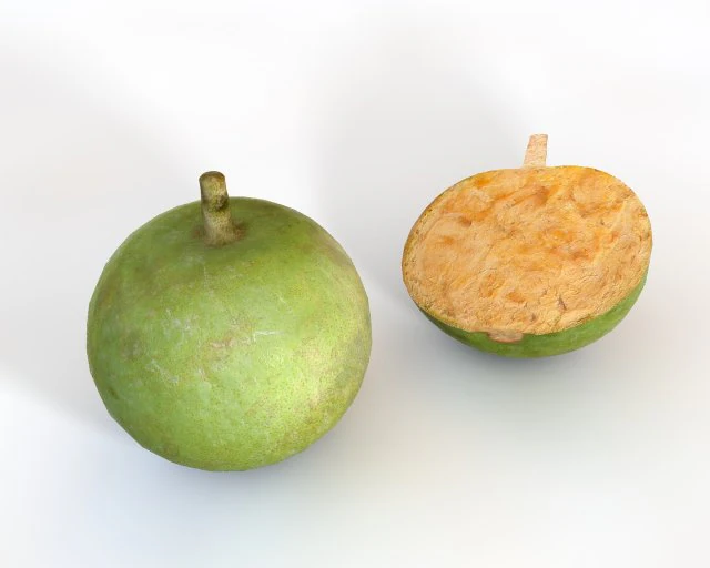 bael wood apple 3D Model .c4d .max .obj .3ds .fbx .stl .blend