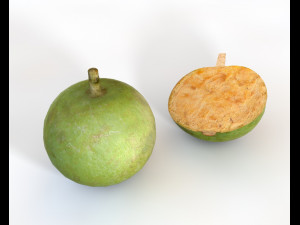 bael wood apple 3D 模型