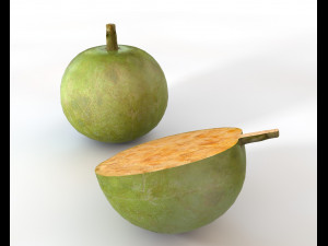 bael wood apple 3Dモデル